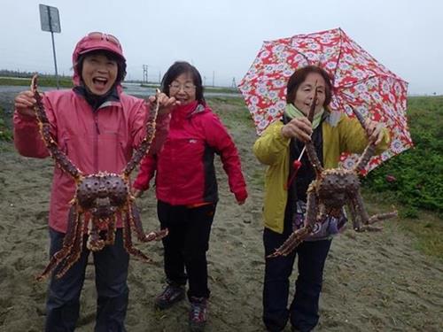海外例会