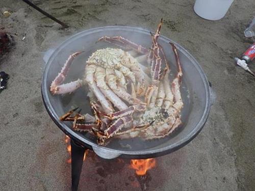 海外例会