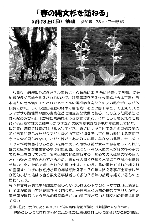 report